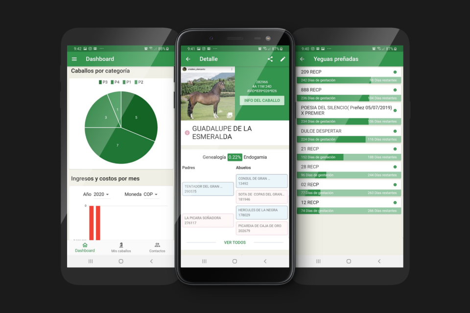 screenshot of CRIO ONLINE